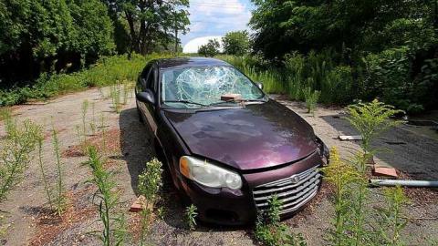 House Graveyard - IMG_1798.jpg