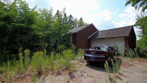 House Graveyard - IMG_1794.jpg