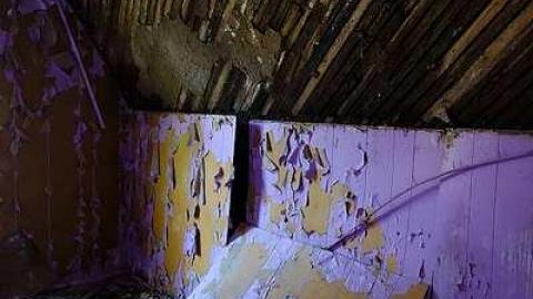 Barney's PJ's '17 - DSC07367.jpg