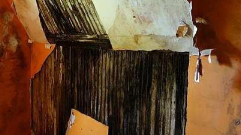 Barney's PJ's '17 - DSC07372.jpg