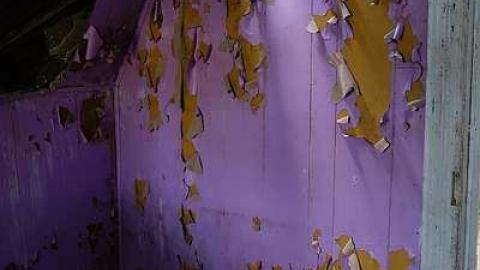 Photo from Barney's PJ's '17