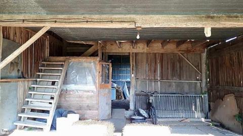 Pigeon Farmhouse - Guardian-Pigeons-Farmhouse9.jpg