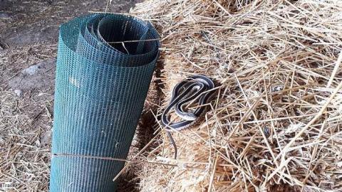 Photo from Pigeon Farmhouse