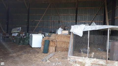 Pigeon Farmhouse - Guardian-Pigeons-Farmhouse11.jpg