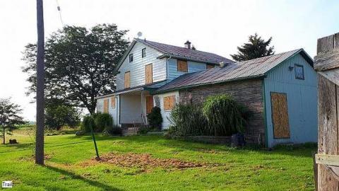 Pigeon Farmhouse - Guardian-Pigeons-Farmhouse44.jpg