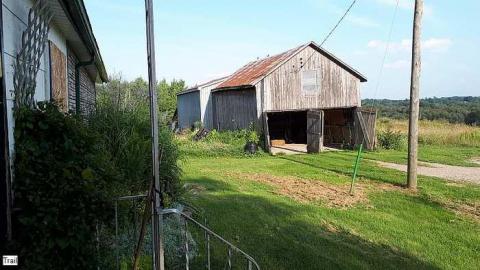 Pigeon Farmhouse - Guardian-Pigeons-Farmhouse16.jpg