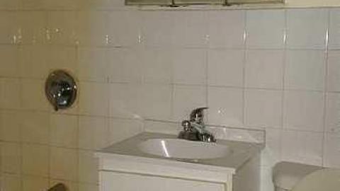 Pigeon Farmhouse - Guardian-Pigeons-Farmhouse17.jpg