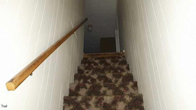 Guardian Pigeons Farmhouse photo 5