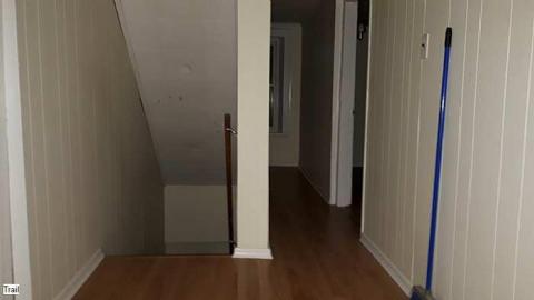 Pigeon Farmhouse - Guardian-Pigeons-Farmhouse20.jpg