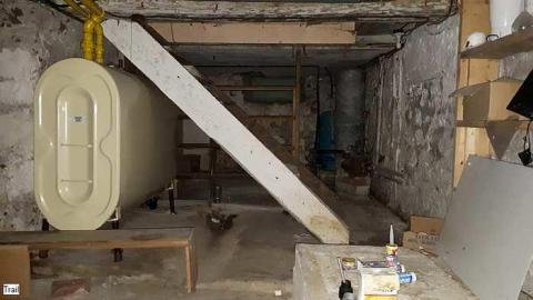 Pigeon Farmhouse - Guardian-Pigeons-Farmhouse48.jpg