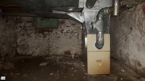 Pigeon Farmhouse - Guardian-Pigeons-Farmhouse37.jpg