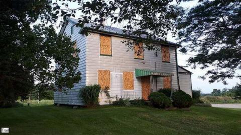 Pigeon Farmhouse - Guardian-Pigeons-Farmhouse30.jpg