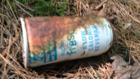 August 2017 - Clear-Lake-Car-Dump25.jpg