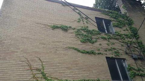 August 2017 - BoardedAbandoned-Apartment13.jpg