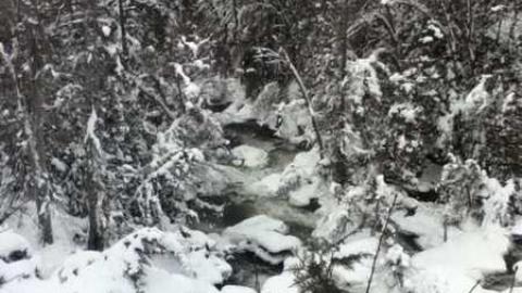 Inglis Falls photo 4