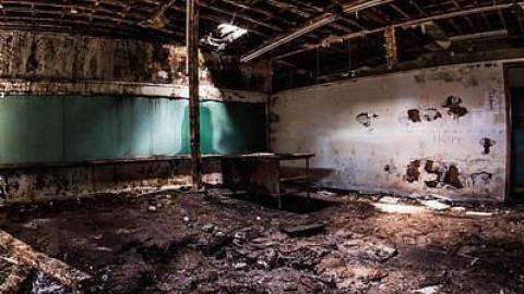  August 2017 - DSC_0699.jpg