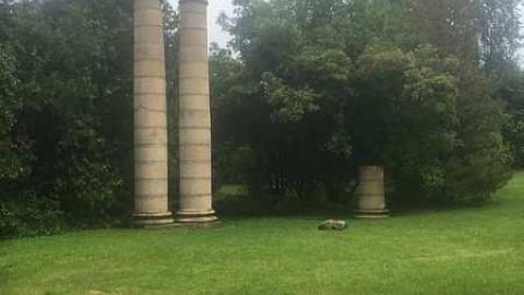 Soper's Fountain / Ruins photo 5