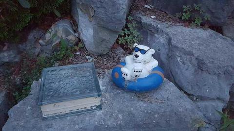 Gone forever - Abandoned-Grow-Op-Mansion--Drug-Dealers-Mansion--King-City240.jpg