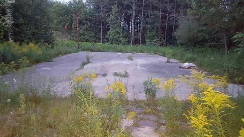 Gone forever - Abandoned-Grow-Op-Mansion--Drug-Dealers-Mansion--King-City228.jpg