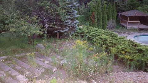 Gone forever - Abandoned-Grow-Op-Mansion--Drug-Dealers-Mansion--King-City231.jpg