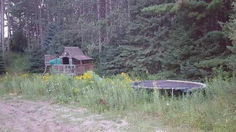 Gone forever - Abandoned-Grow-Op-Mansion--Drug-Dealers-Mansion--King-City232.jpg