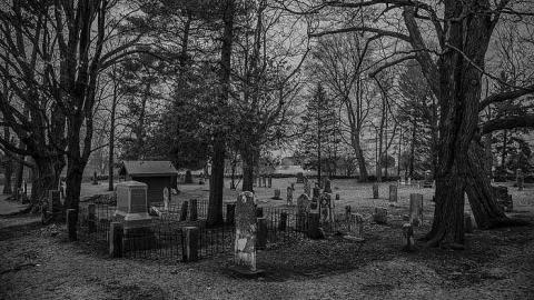 Loyalist Cemetery photo 4