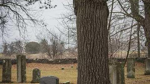 Loyalist Cemetery - Loyalist-Cemetery4.jpg