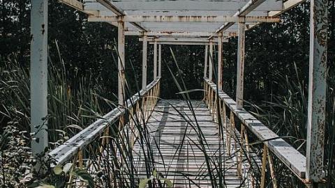 2017-08-27 - Pammett-Drug-House128.jpg