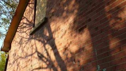 Photo from Countryside