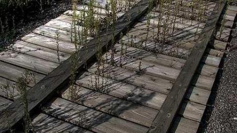 Monster Garage - 4c.jpg