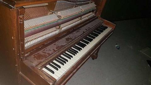 Two Visits - F.M.-Heard28.jpg