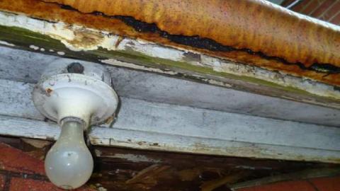 Countryside - P1050029.jpg