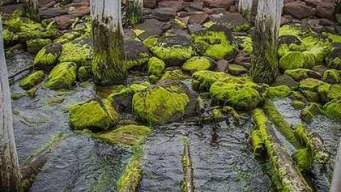 St. Peter's Harbour Lighthouse - St.-Peters-Harbour-Lighthouse4.jpg