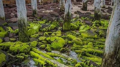 St. Peter's Harbour Lighthouse - St.-Peters-Harbour-Lighthouse5.jpg