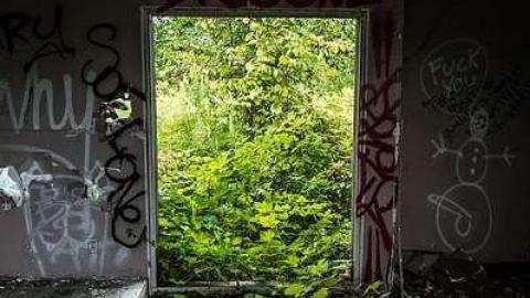 Photo from smells really bad 