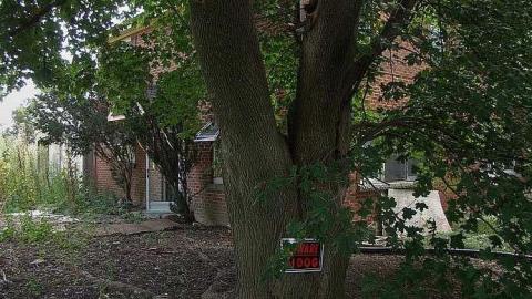 Farm Fresh - Outlet-Farm7.jpg