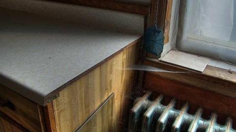 Farm Fresh - Outlet-Farm12.jpg