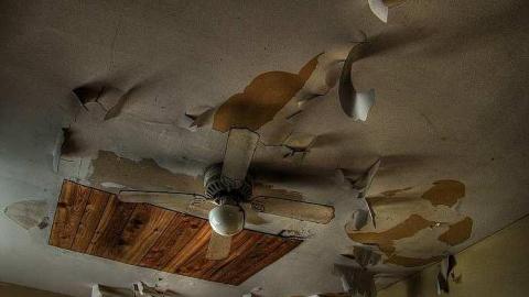 Farm Fresh - Outlet-Farm4.jpg