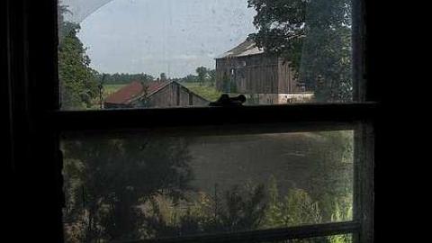 Farm Fresh - Outlet-Farm17.jpg