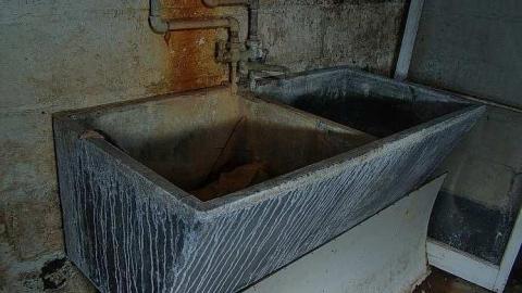 Farm Fresh - Outlet-Farm19.jpg