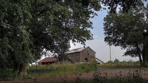 Farm Fresh - Outlet-Farm21.jpg