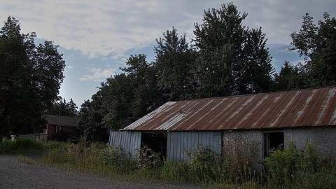 Farm Fresh - Outlet-Farm22.jpg