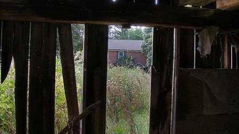 Farm Fresh - Outlet-Farm23.jpg