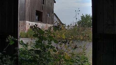 Farm Fresh - Outlet-Farm26.jpg