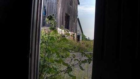 Farm Fresh - Outlet-Farm27.jpg