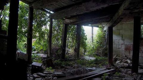 Farm Fresh - Outlet-Farm31.jpg