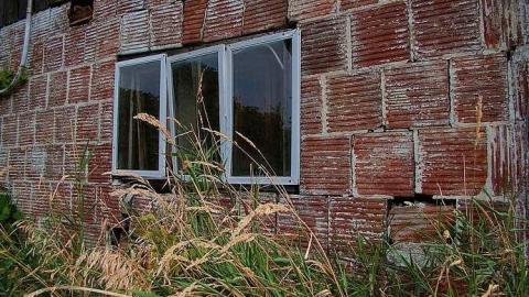 Farm Fresh - Outlet-Farm32.jpg