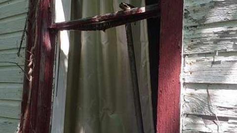 Vansickle #2 - Cordova-Mines7.jpg