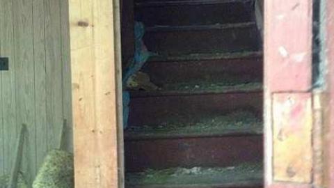 Vansickle #2 - Cordova-Mines12.jpg