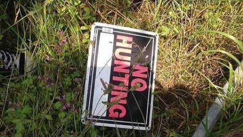 Vansickle #3 - Cordova-Mines19.jpg